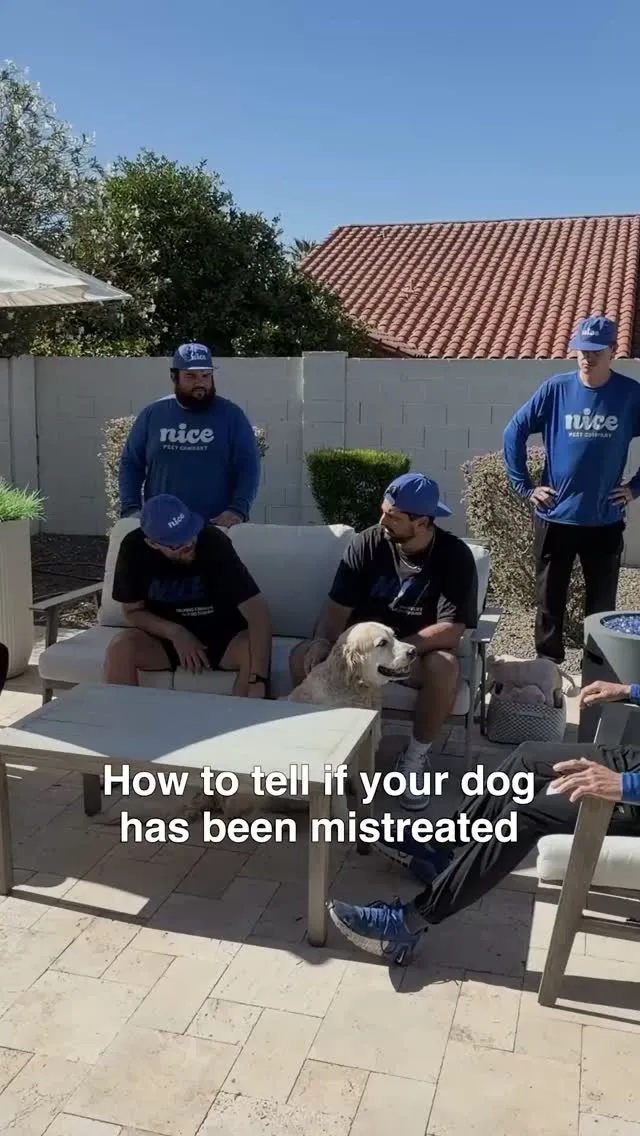The Nice Pest Company team outdoors with a golden retriever