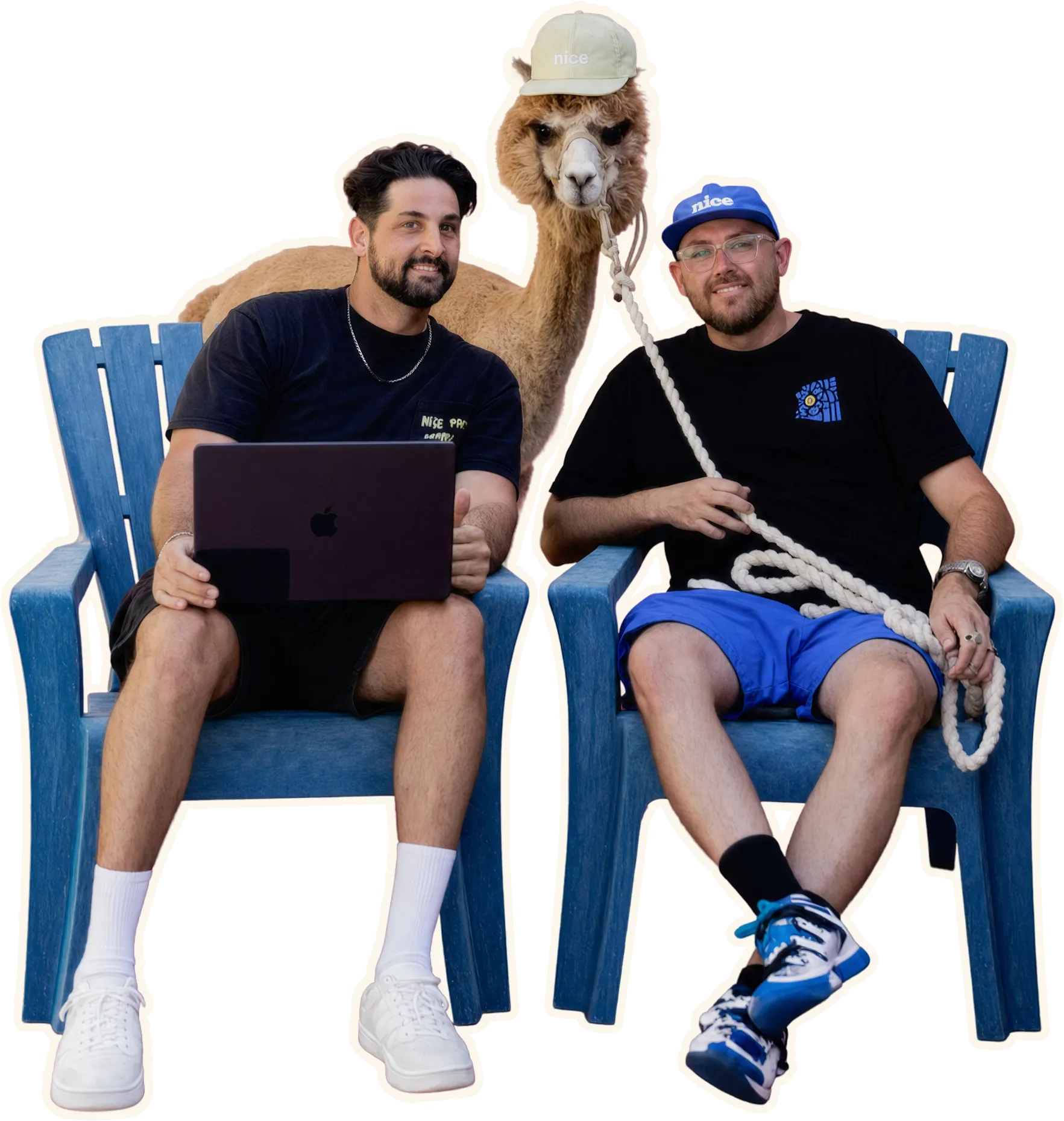 Two Nice Pest Company team members relaxing in chairs with a Nice-capped alpaca between them